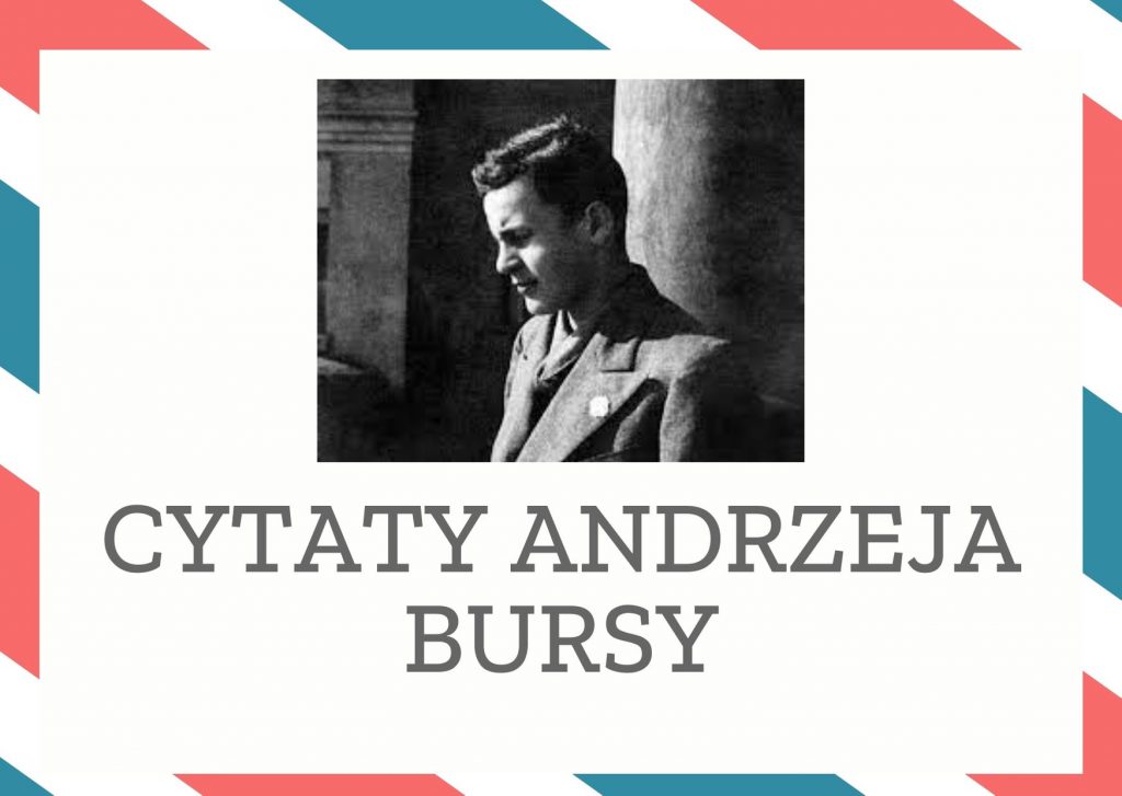 Cytaty Andrzeja Bursy — Andrzej Bursy — Za darmo nie dostaniesz nic ładnego zachód słońca jest za darmo a więc nie jest piękny
