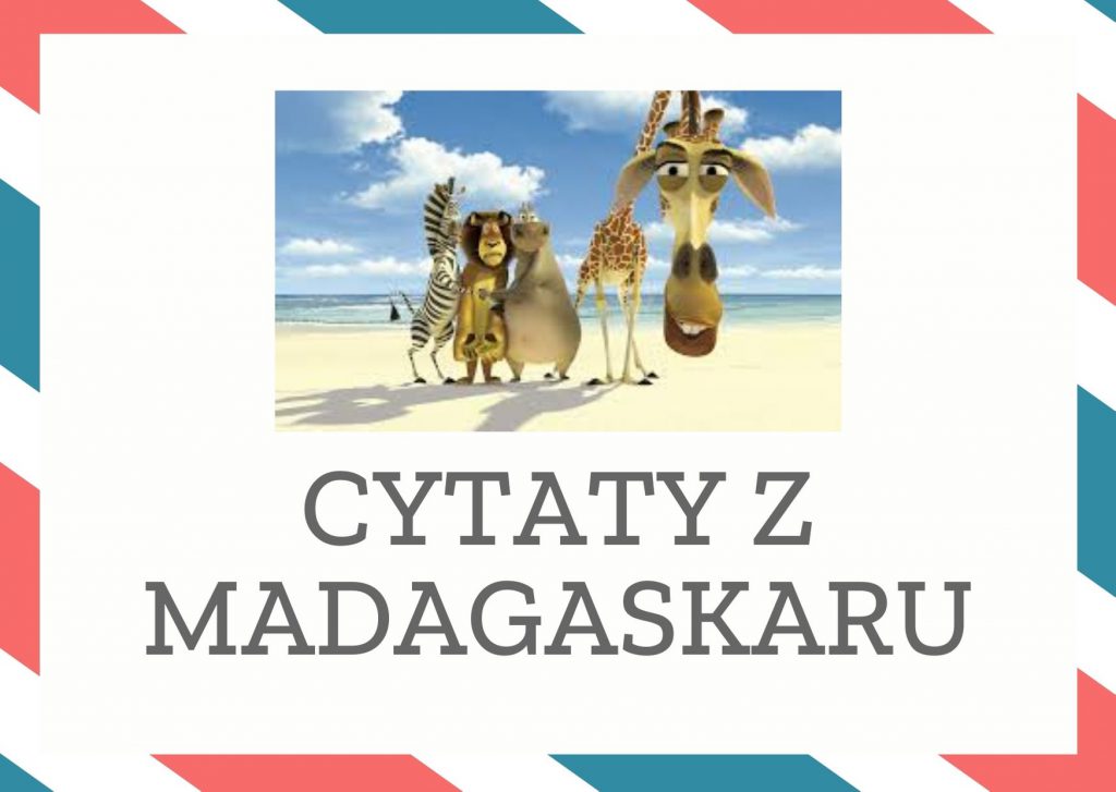 Cytaty z Madagaskaru — Bo jestem przystojny, mam gęste włosy, nieprzeciętny intelekt, no i… chcę, żeby wszyscy s…